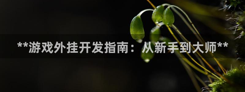 沐鸣娱乐2登录