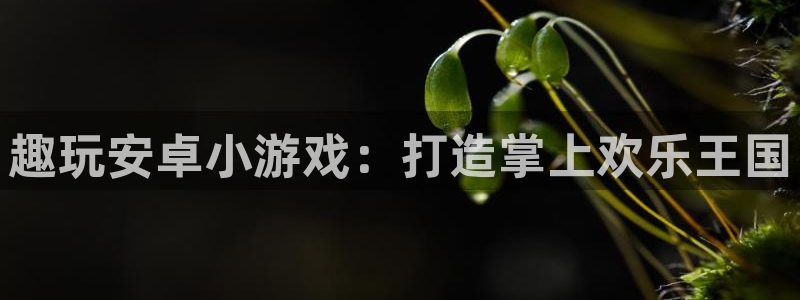 沐鸣277 77注册