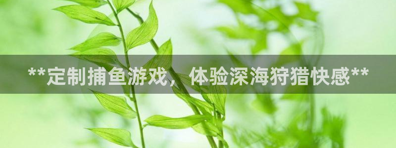 沐鸣2代理求27337