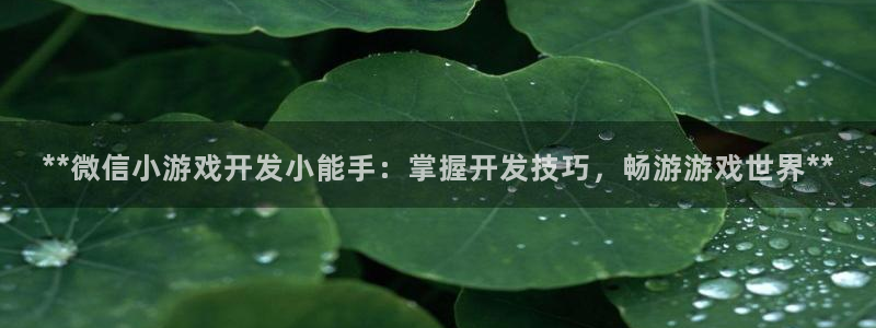 沐鸣娱乐2手机版