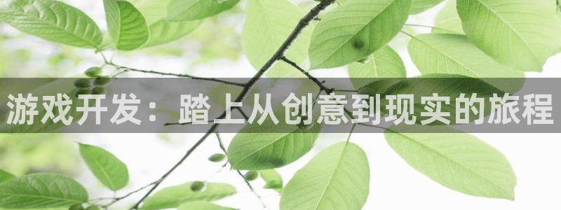 沐鸣娱乐2官方