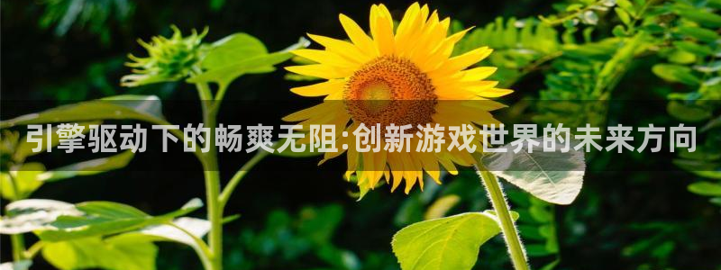 沐鸣娱乐2是正规平台么：引擎驱动下的畅爽无阻:创新游戏世界的未来方向