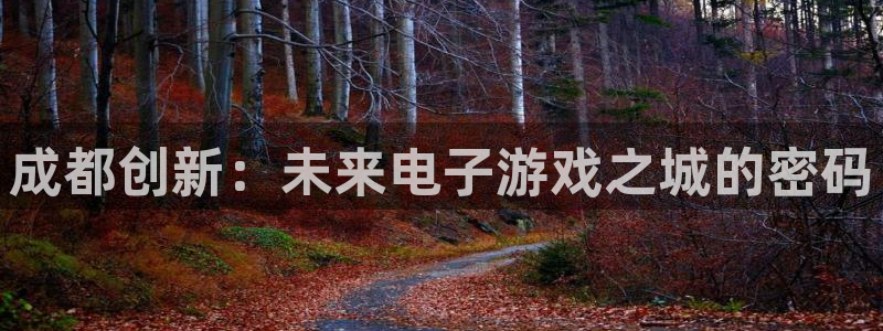 沐鸣娱乐2输钱了：成都创新：未来电子游戏之城的密码