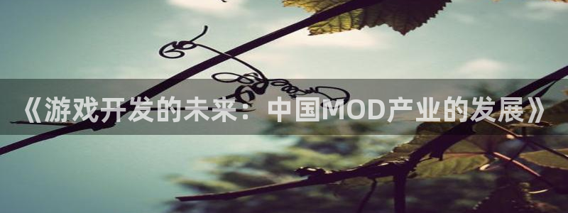 沐鸣2娱乐平台登录客服：《游戏开发的未来：中国MOD产业的发展》
