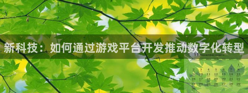 沐鸣2注册33300tg：新科技：如何通过游戏平台开发推动数字化转型