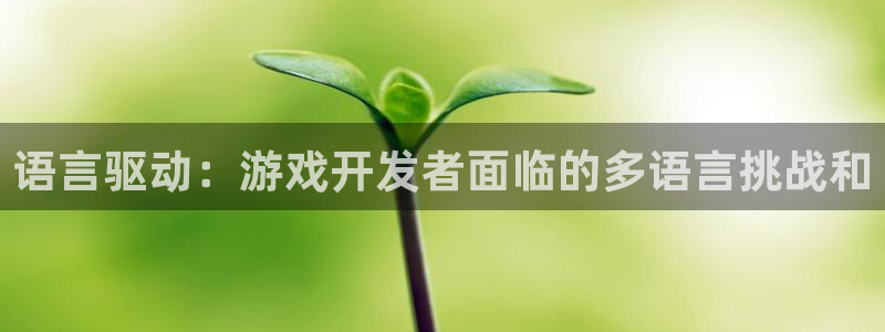 沐鸣娱乐2登录平台官网网址：语言驱动：游戏开发者面临的多语言挑战和