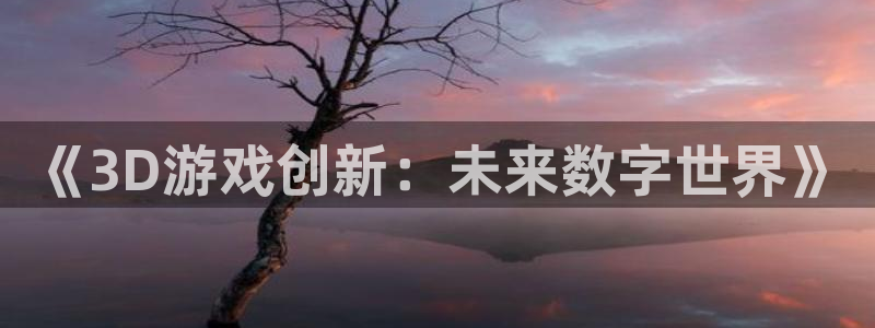 沐鸣娱乐2登录平台官网网址：《3D游戏创新：未来数字世界》