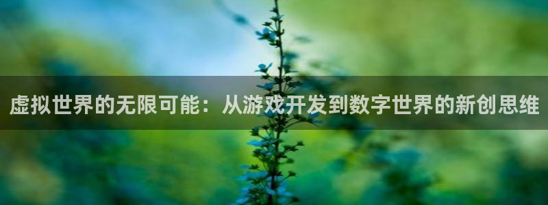 沐鸣2娱乐平台登录：虚拟世界的无限可能：从游戏开发到数字世界的新创思维