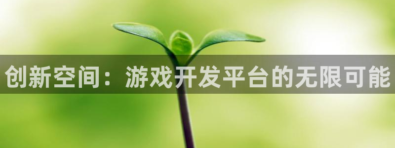 沐鸣平台由44262：创新空间：游戏开发平台的无限可能