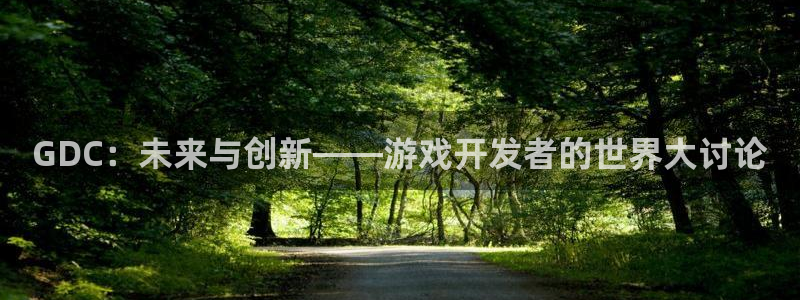 沐鸣娱乐2登录平台是什么：GDC：未来与创新——游戏开发者的世界大讨论