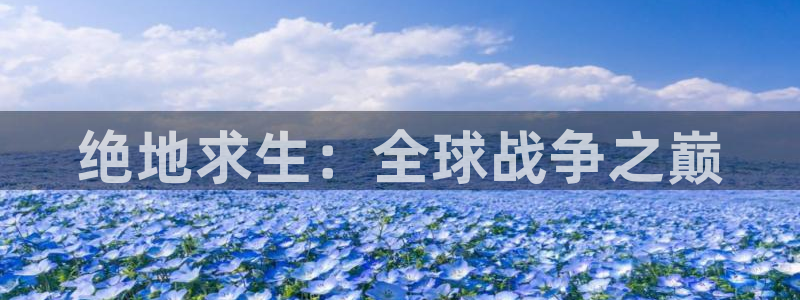 沐鸣2撤35994还和：绝地求生：全球战争之巅
