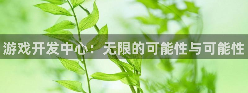 沐鸣2多少年：游戏开发中心：无限的可能性与可能性