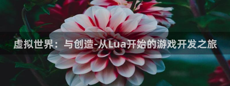 沐鸣2登陆：虚拟世界：与创造-从Lua开始的游戏开发之旅