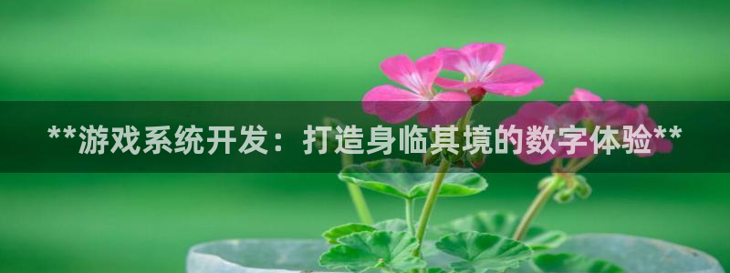 沐鸣2购35994胀：**游戏系统开发：打造身临其境的数字体验**