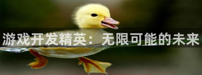 沐鸣娱乐2官方：游戏开发精英：无限可能的未来
