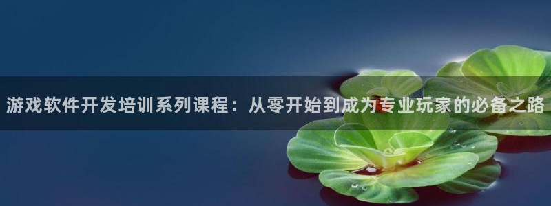 沐鸣娱乐2手机下载官网：游戏软件开发培训系列课程：从零开始到成为专业玩家的必备之路
