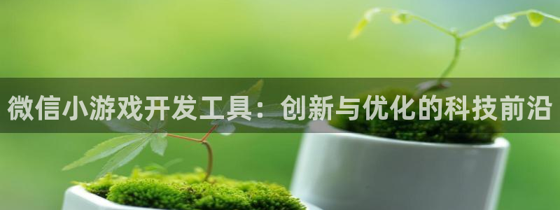 沐鸣2测速登录：微信小游戏开发工具：创新与优化的科技前沿