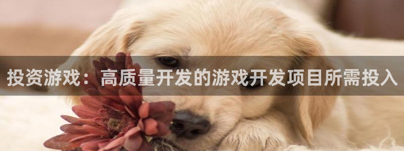 沐鸣2注册连接：投资游戏：高质量开发的游戏开发项目所需投入