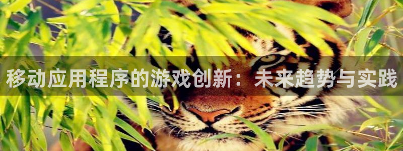 沐鸣娱乐臼44262：移动应用程序的游戏创新：未来趋势与实践