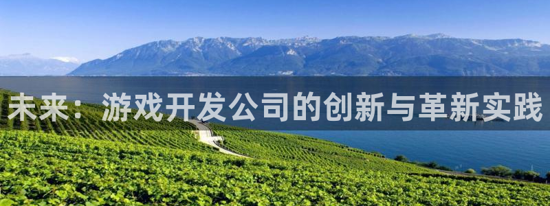 沐鸣娱乐2是干嘛的：未来：游戏开发公司的创新与革新实践