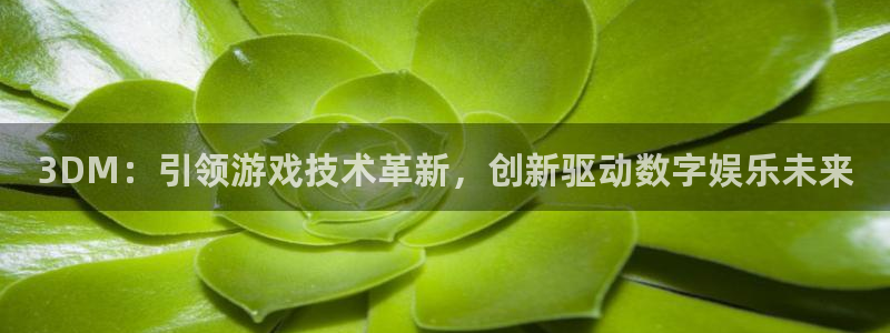 沐鸣2开户地址：3DM：引领游戏技术革新，创新驱动数字娱乐未来