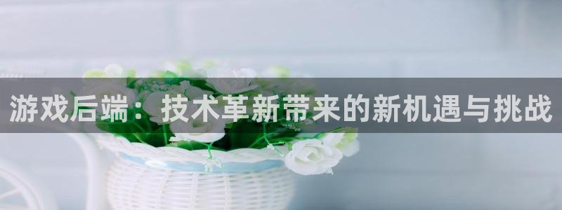 沐鸣娱乐2不能注册：游戏后端：技术革新带来的新机遇与挑战